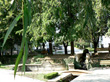 Click to enlarge Highslide JS
