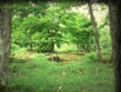 Click to enlarge Highslide JS